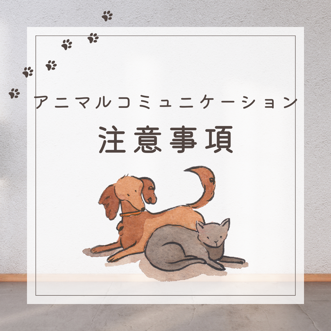 ���ӎ���