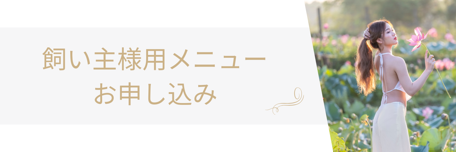 ������l�p���\������